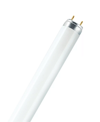 LEDVANCE Świetlówka liniowa LUMILUX T8 L 36W/954